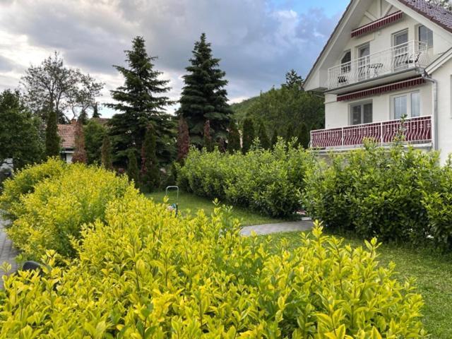Villa Astoria Balatongyörök Exteriör bild